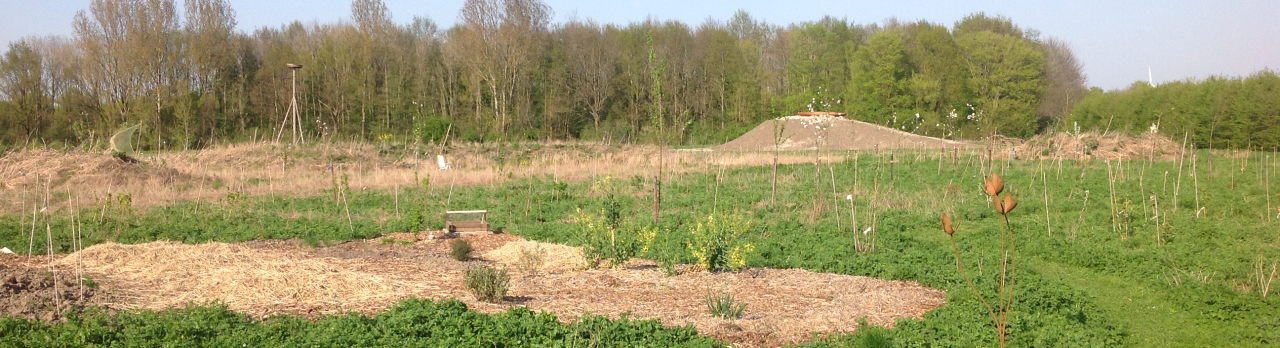 Voedselbos Thuishaven