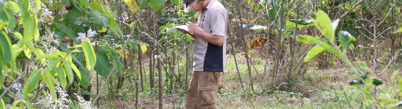 Ecofarm Luz Del Corazon