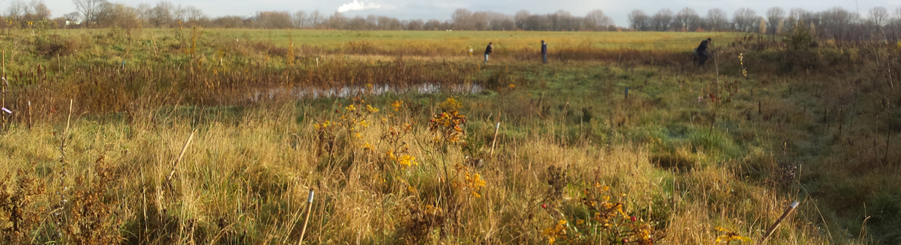Voedselbos Mijn Stadstuin